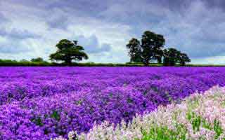 拍摄故宫技巧拍摄故宫的最佳位置